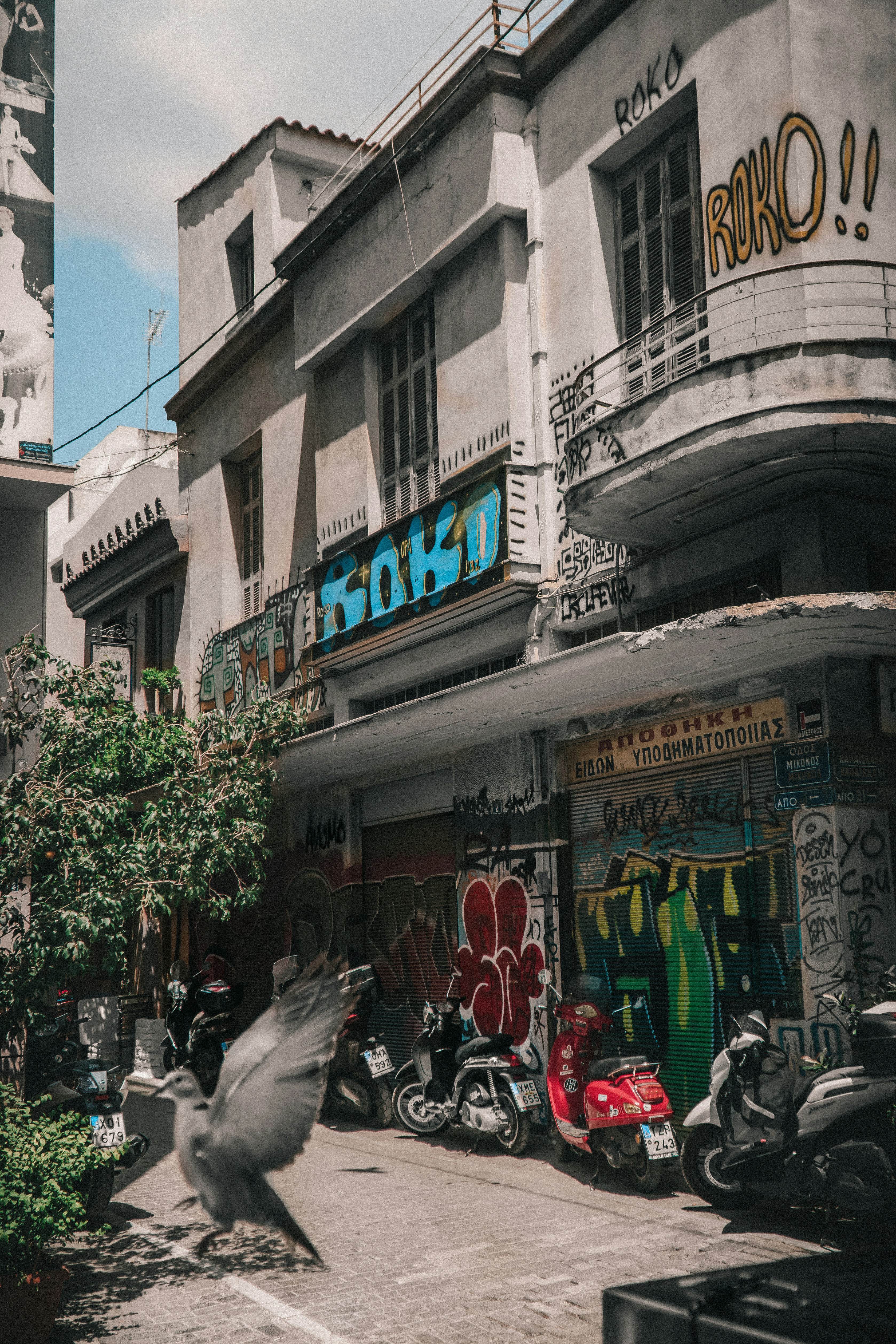 Photo by visualkamikaze