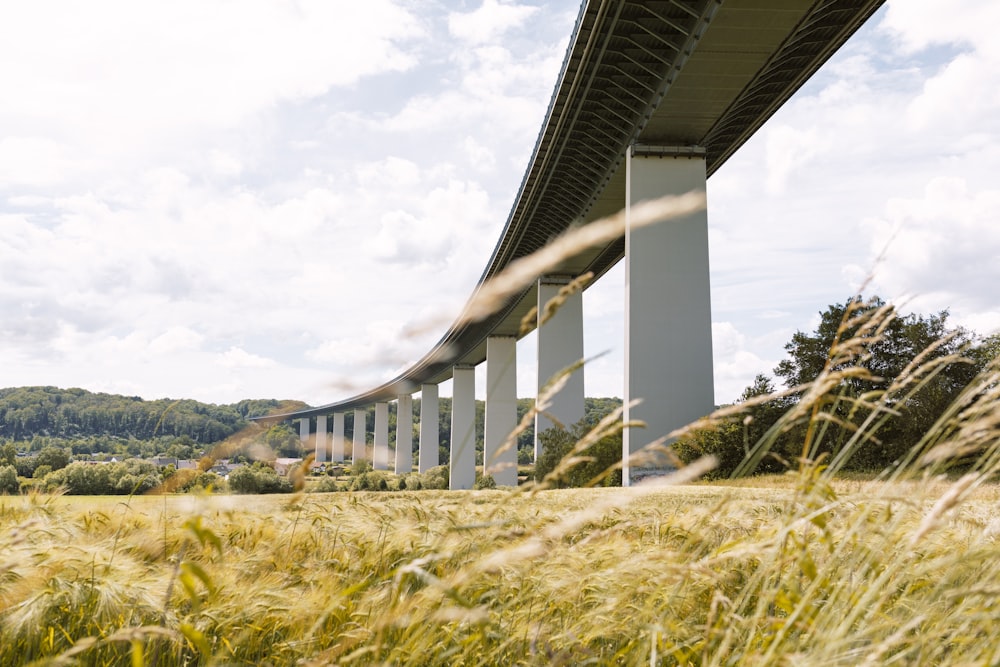 a view of a bridge over a field of tall grass