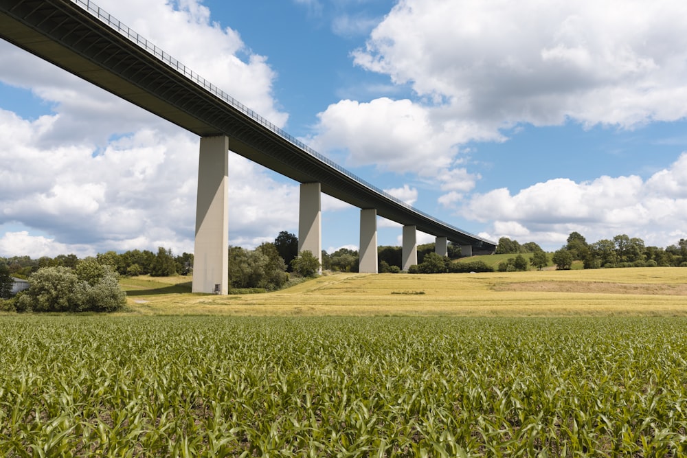 a large bridge over a lush green field
