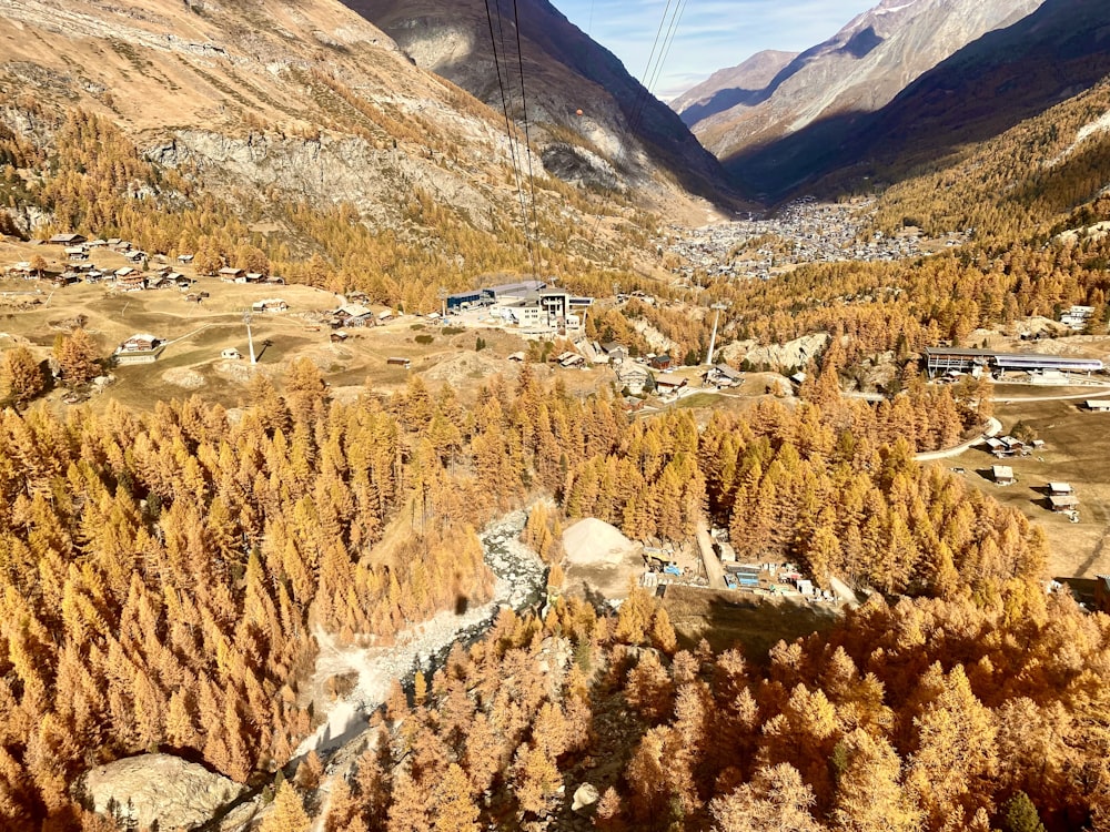 an aerial view of a valley with trees in the foreground