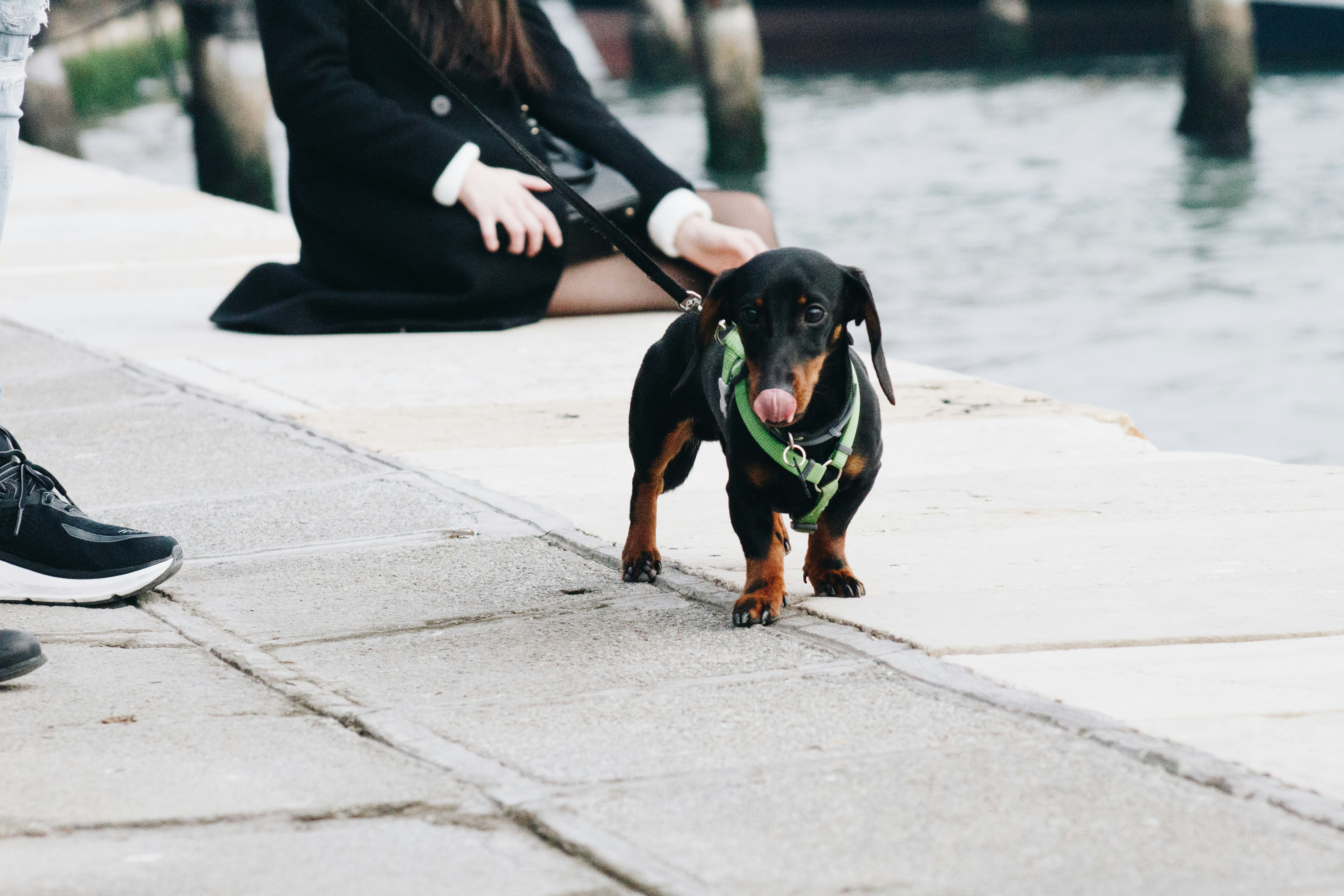 Photo by karinahalley