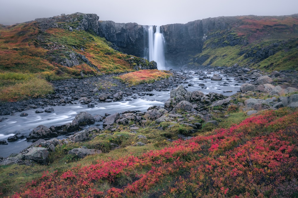 a waterfall in the middle of a grassy area