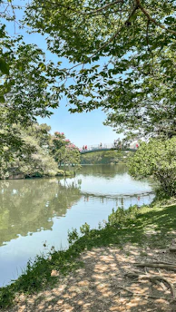 Parque Ibirapuera em São Paulo