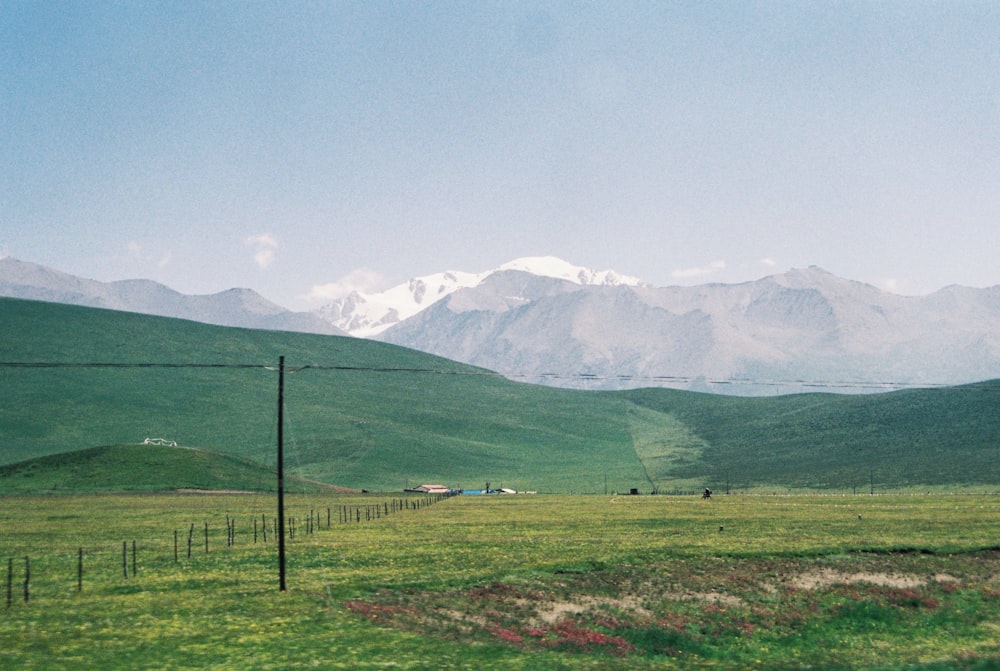 a grassy field with mountains in the background