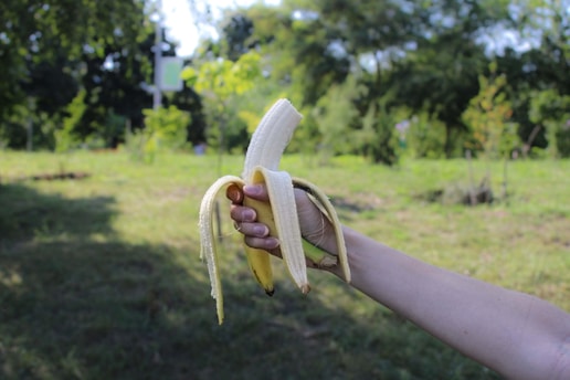 a person holding a banana in their hand