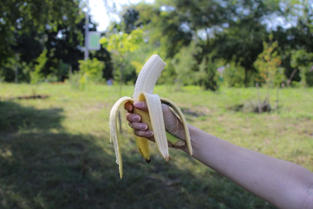 a person holding a banana in their hand