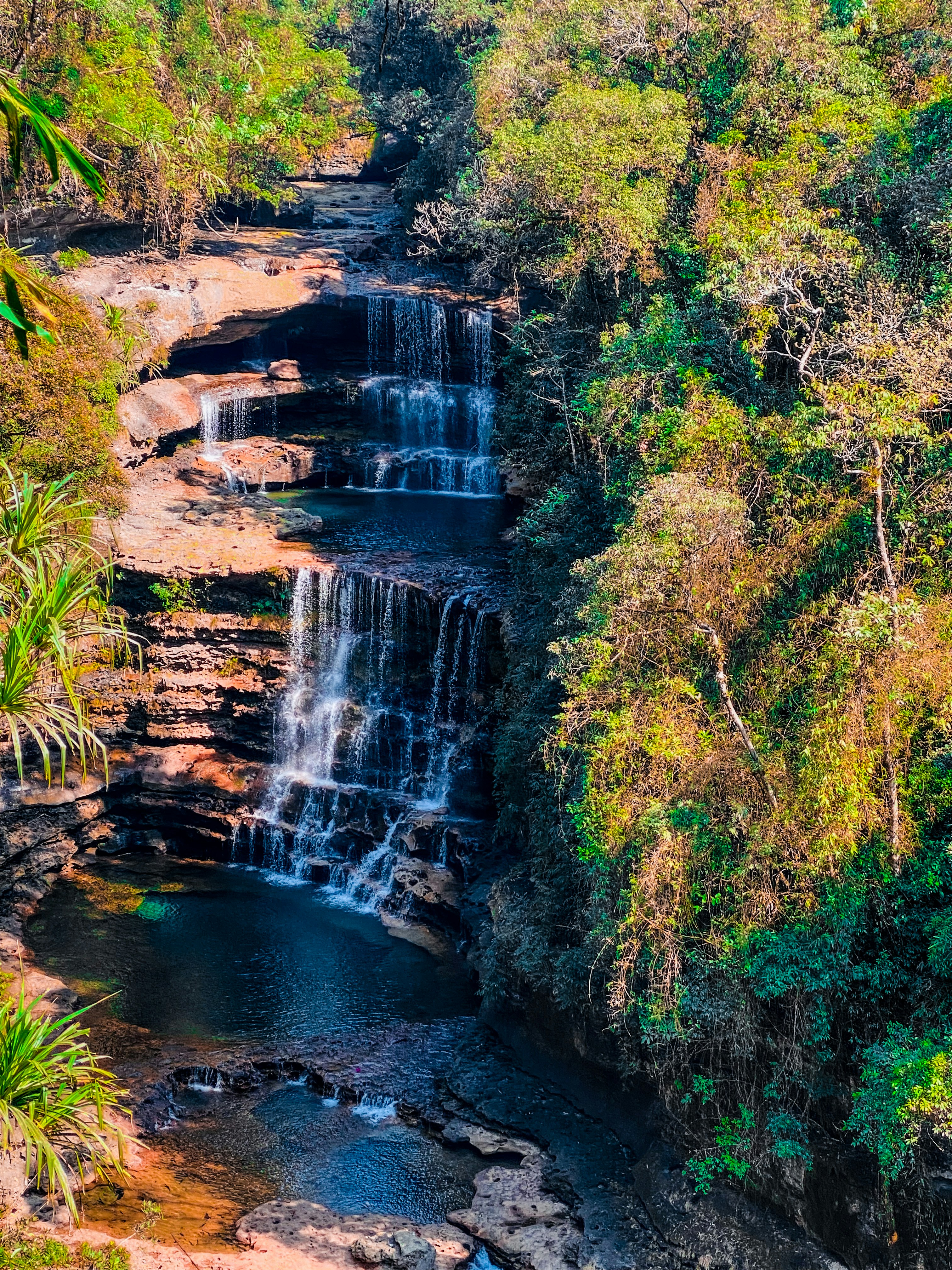 Photo by risingphotographer