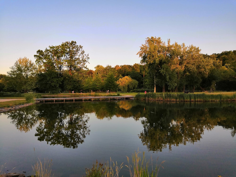 a body of water surrounded by trees and grass