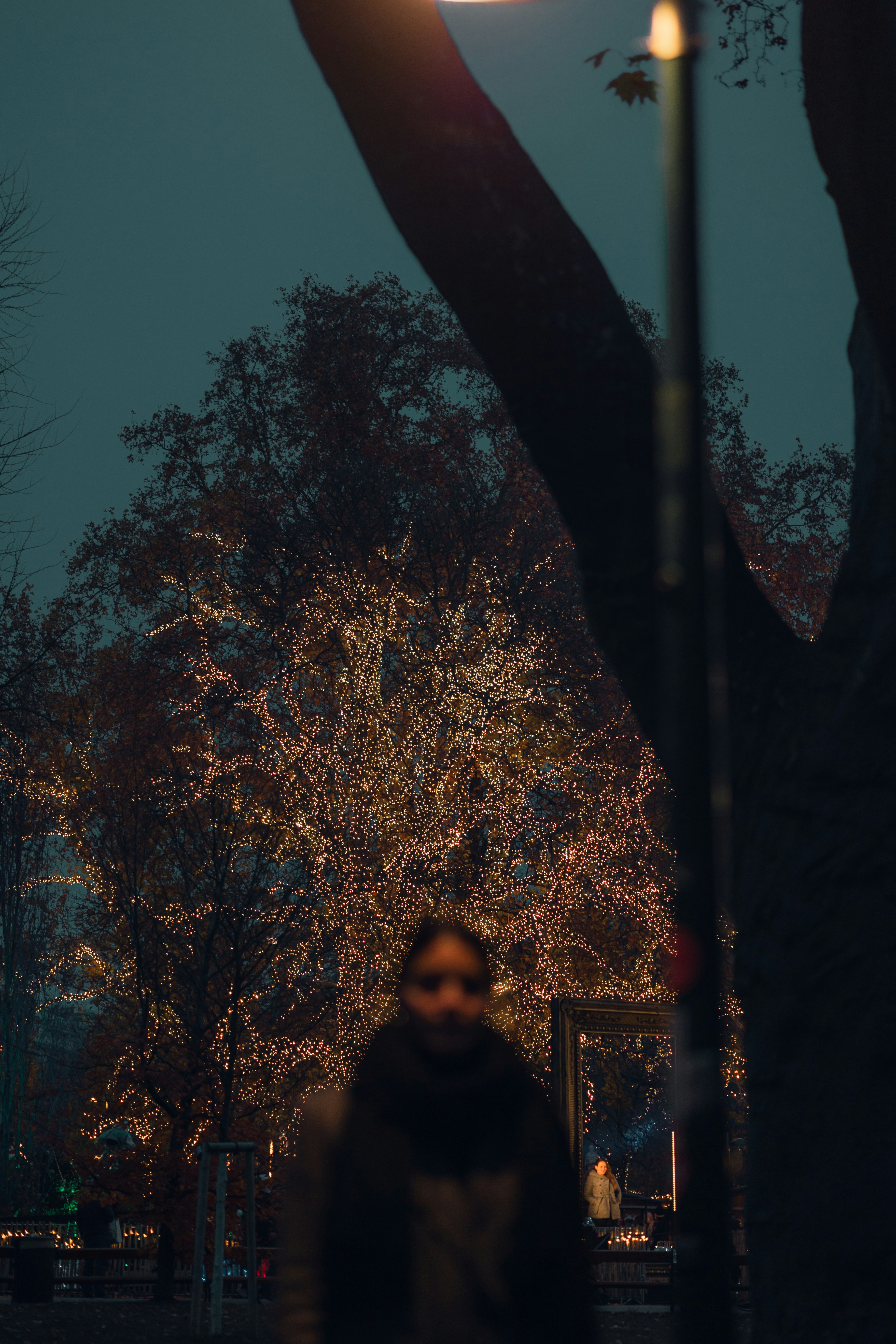 Photo by alex_gruber