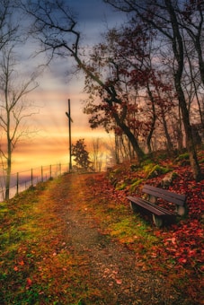 A serene path covered with fallen autumn leaves leads to a wooden cross, illuminated by the soft, warm hues of a setting sun. The sky is painted with shades of orange, yellow, and blue. Bare trees surround the path, casting intricate shadows. A wooden bench sits quietly to the side.