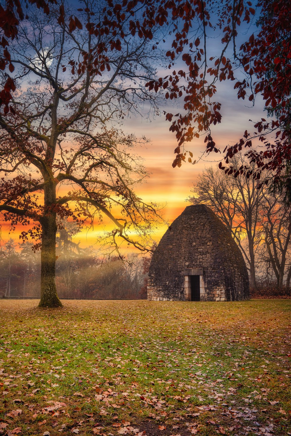 a barn in a field with a tree in the foreground