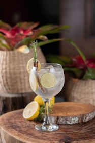 A cocktail glass filled with a clear beverage garnished with lime slices, a cinnamon stick, and a sprig of rosemary. The drink is placed on a wooden surface, accompanied by a sliced lemon. In the background, there are woven baskets and red flowers.