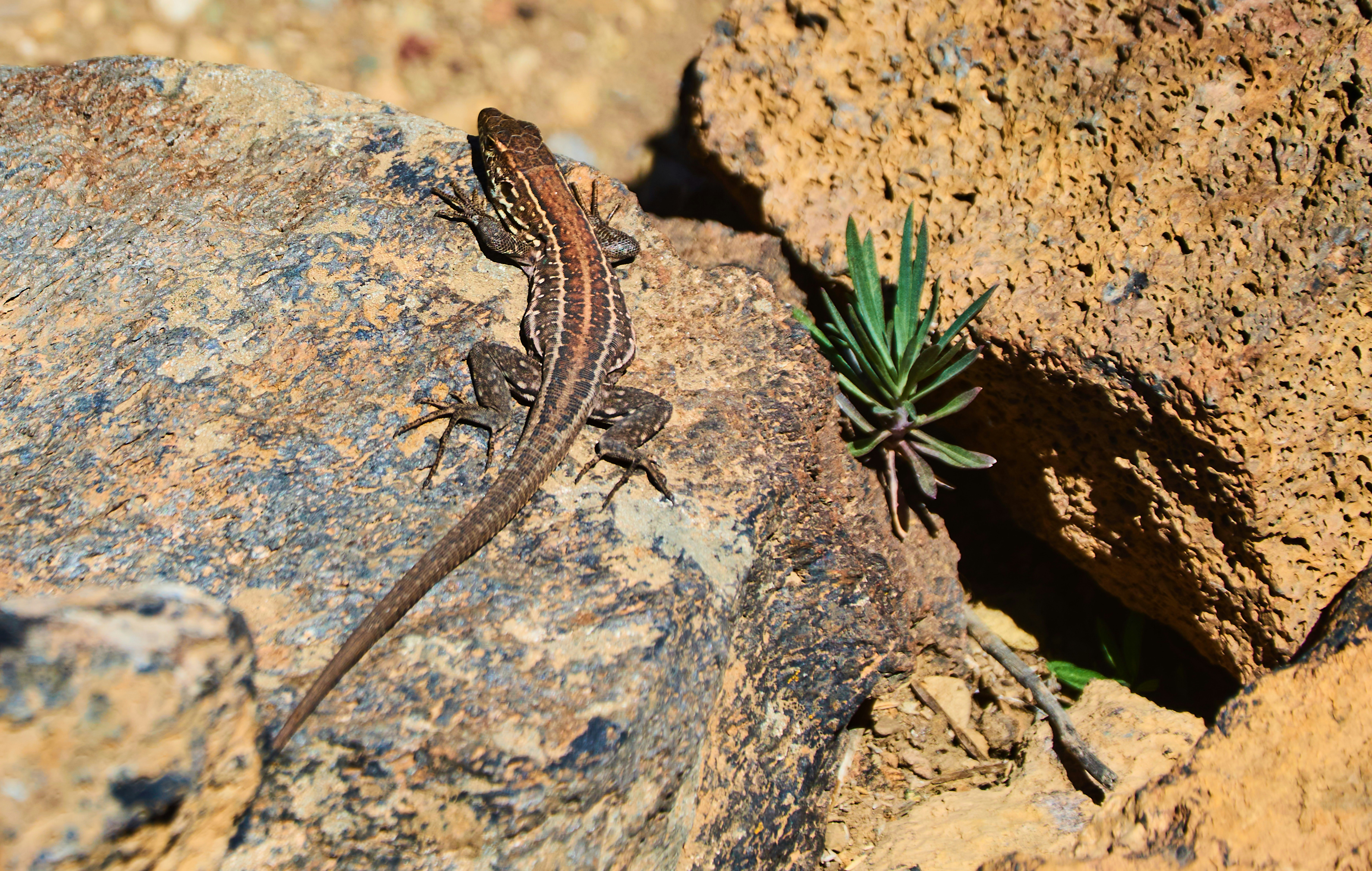 Photo by olgabrajnovic