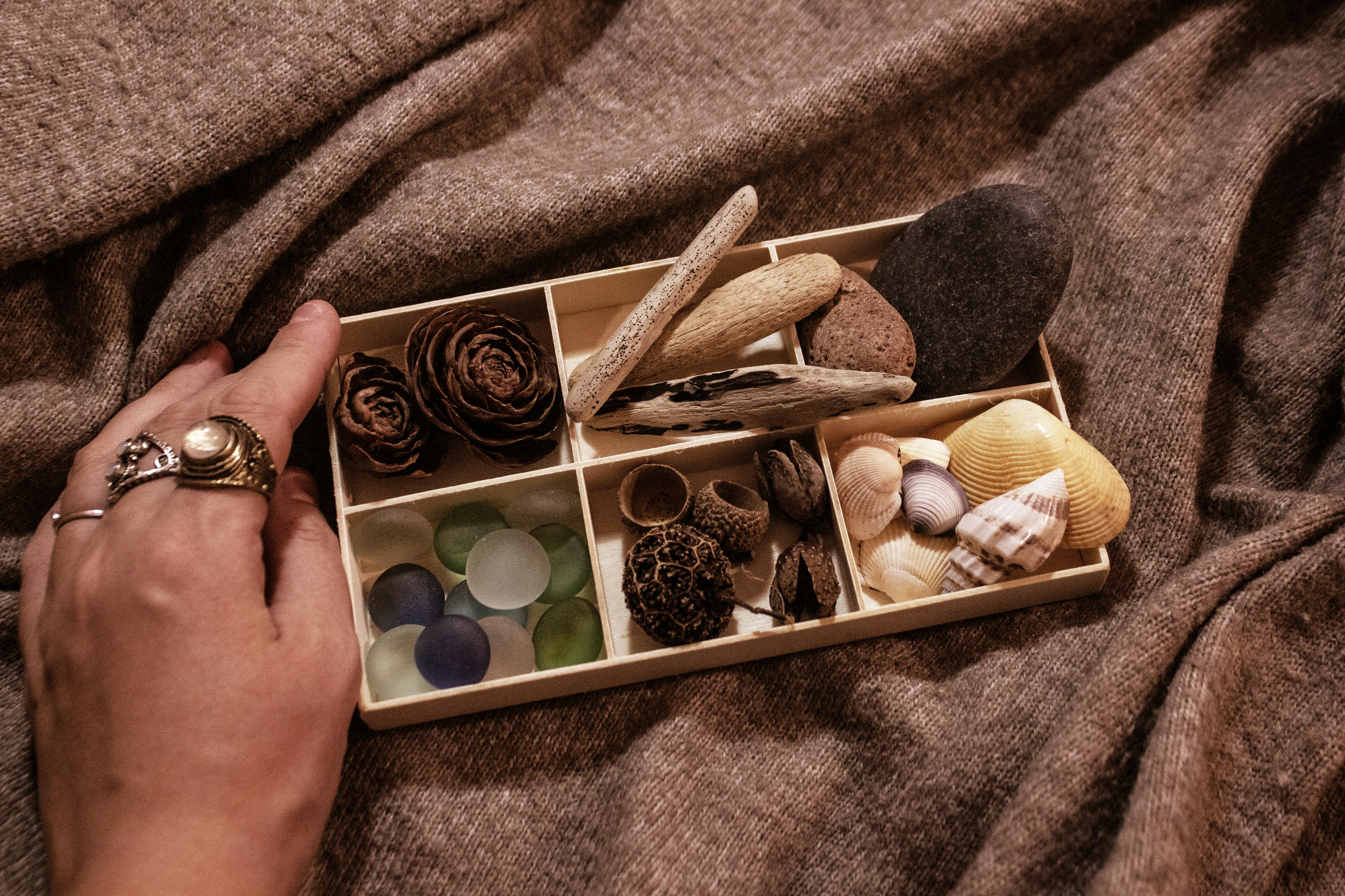 a person is holding a box of seashells