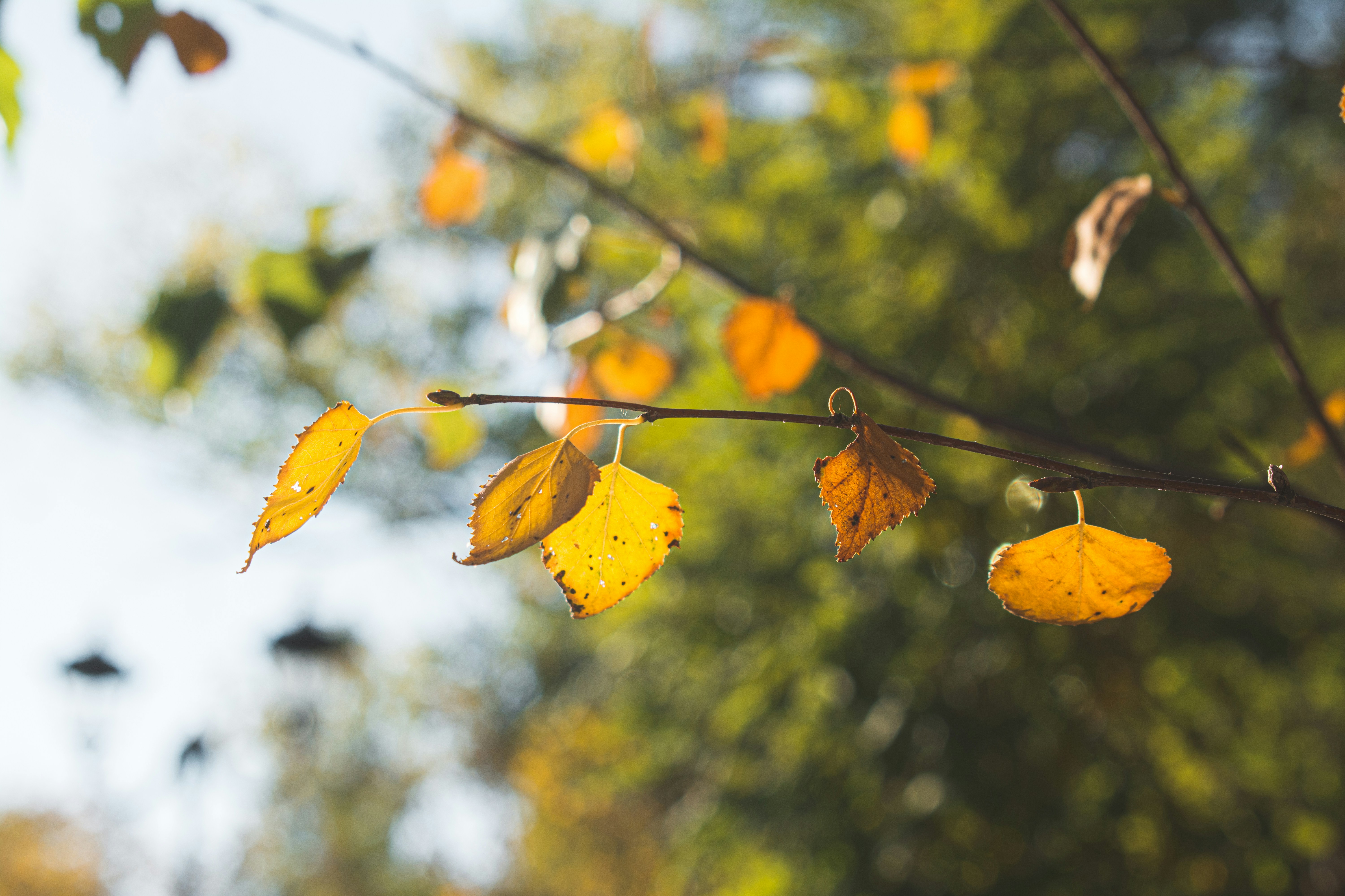 Photo by lorena_preda