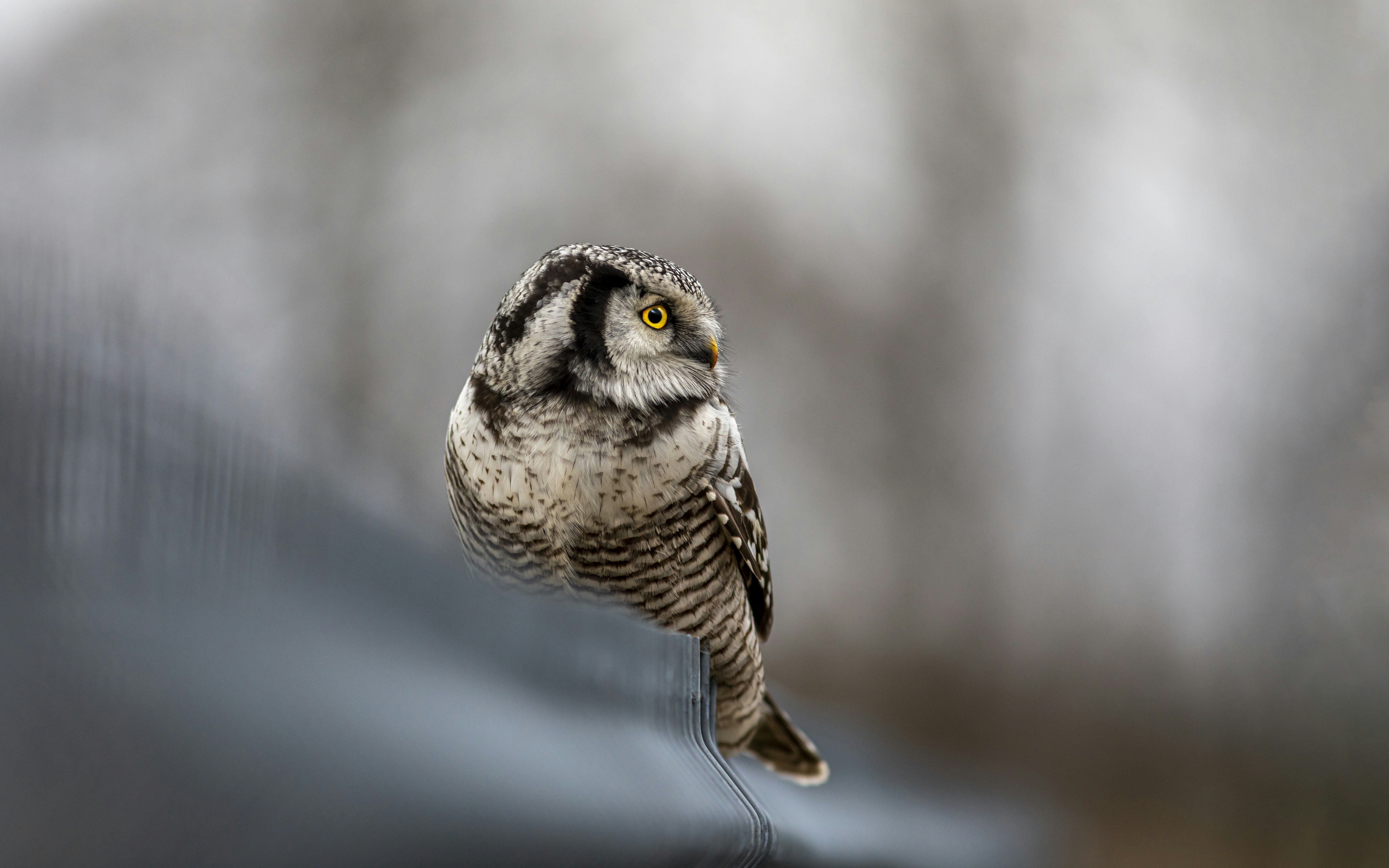 Photo by erik_karits