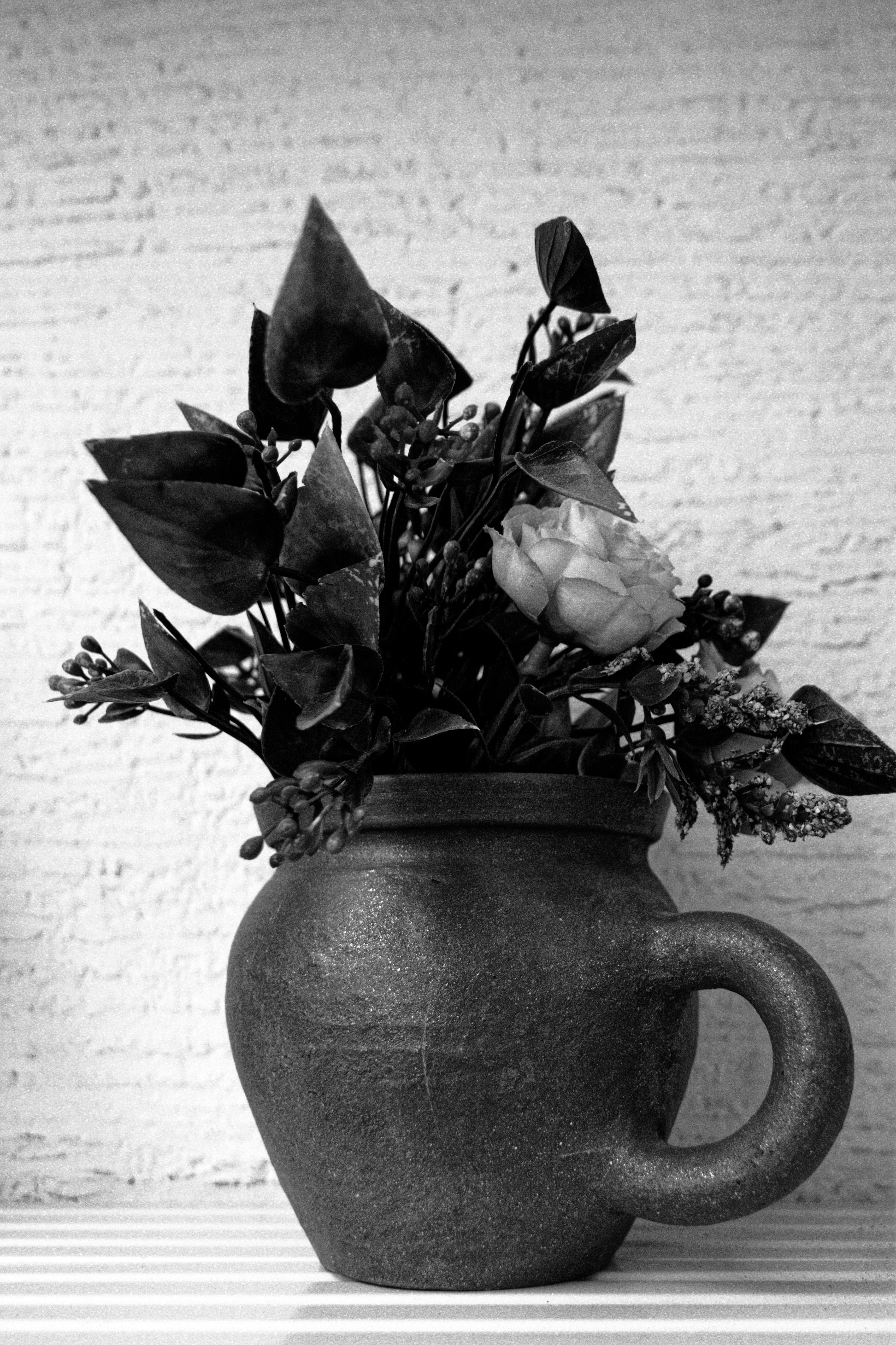 a black and white photo of flowers in a vase