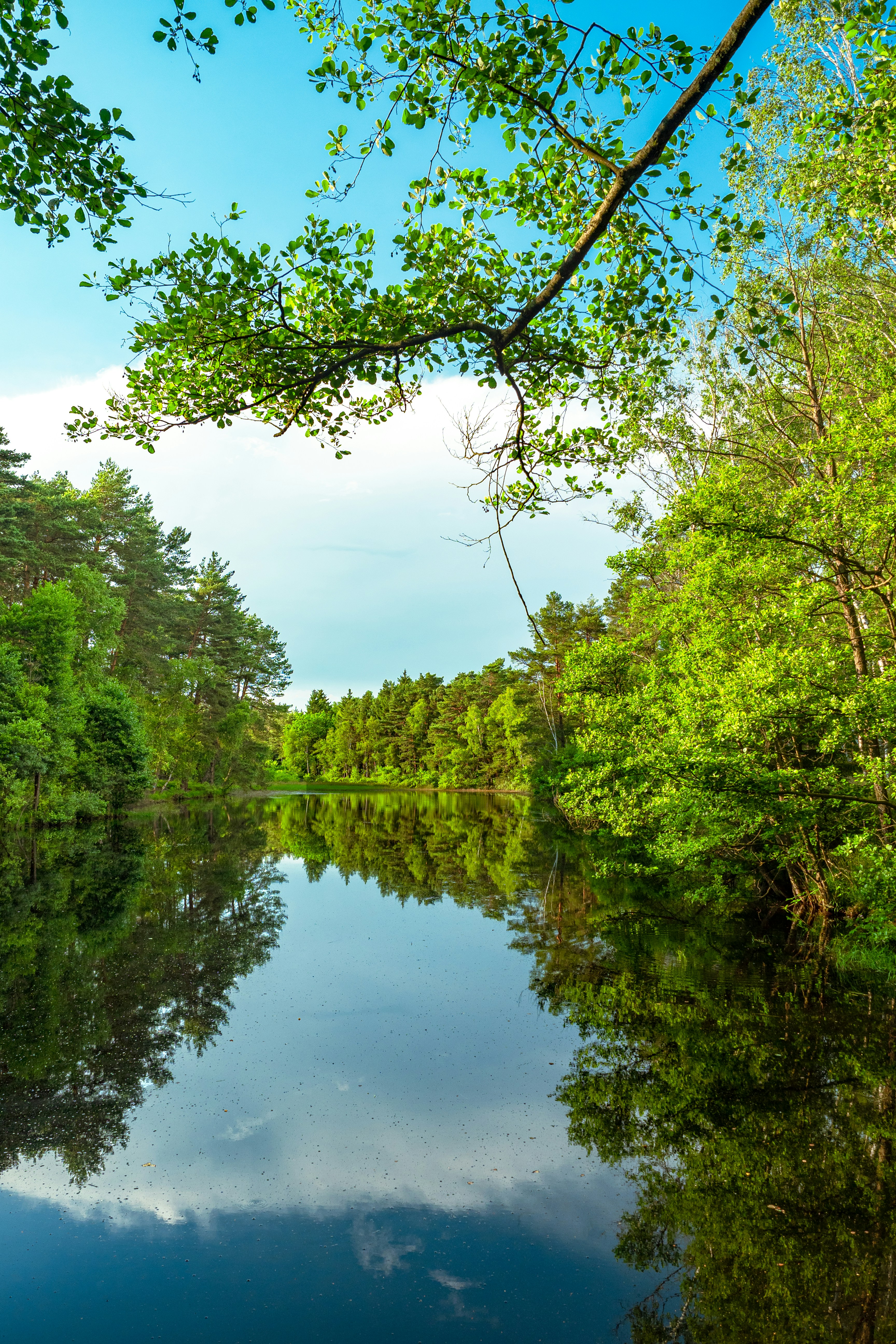 Photo by pascalvendel