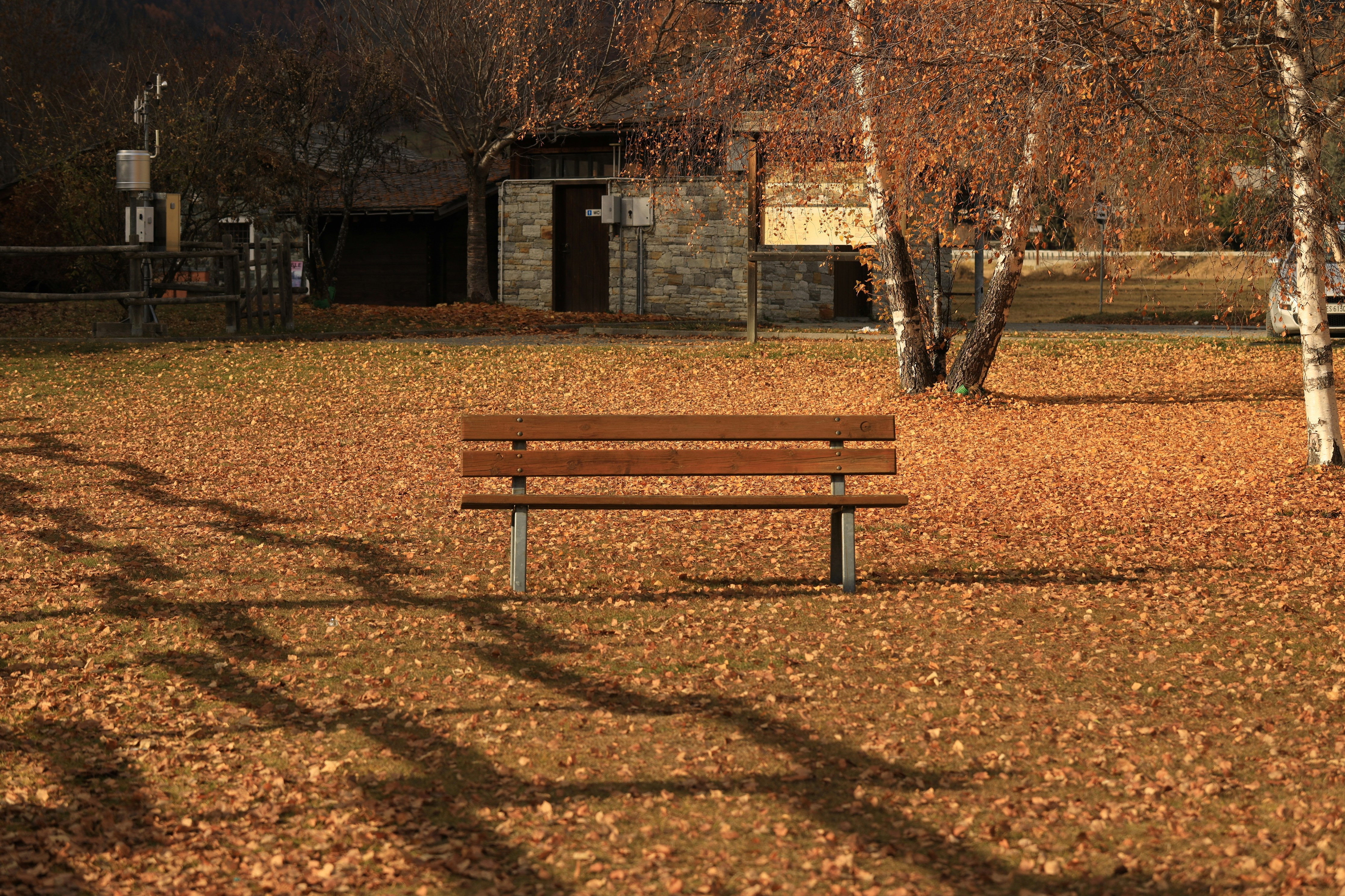 un banc de parc assis au milieu d’un parc