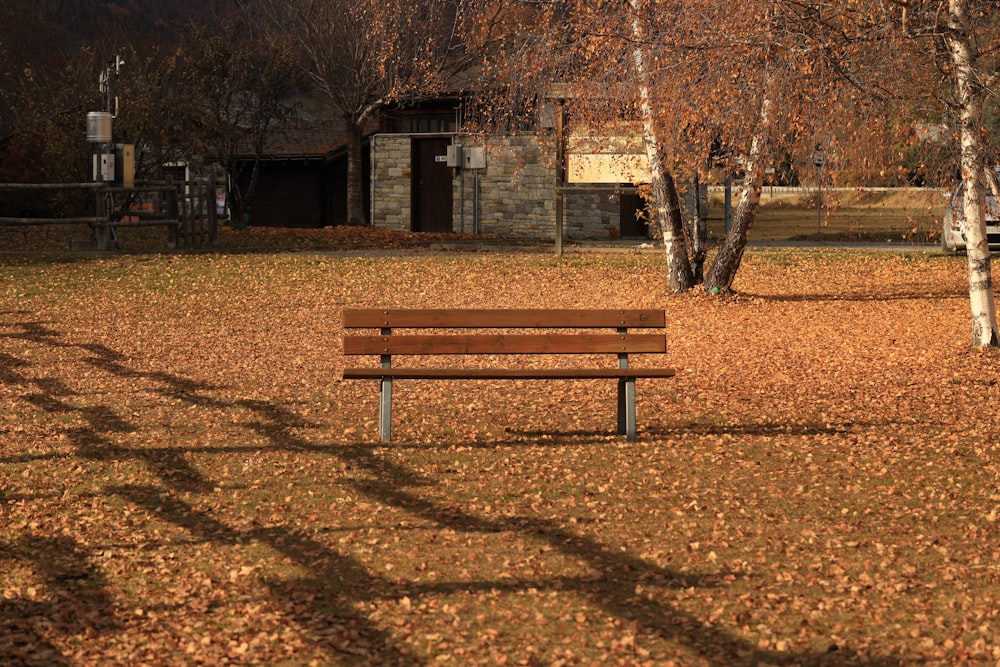 a park bench sitting in the middle of a park