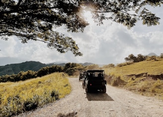 A dirt road winds through a scenic landscape with rolling hills and abundant greenery. A vehicle travels along the path, casting a shadow due to the backlit sun. Trees with overhanging branches frame the scene, adding a touch of natural beauty. The sky is partially cloudy, with sunlight streaming through, creating a warm and inviting atmosphere.