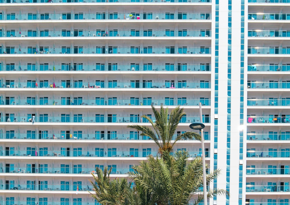 a palm tree in front of a tall building