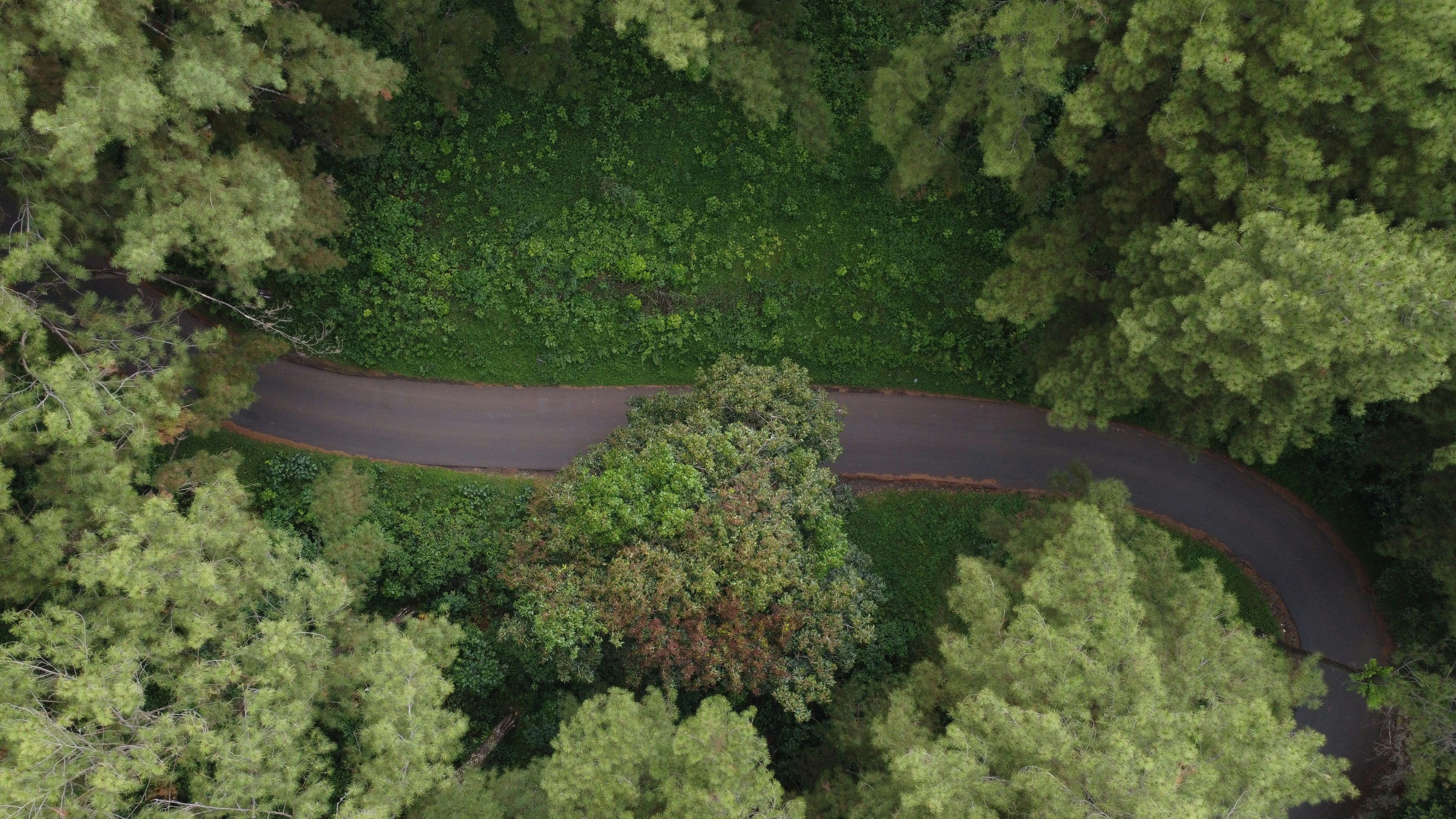 Photo by rf_production