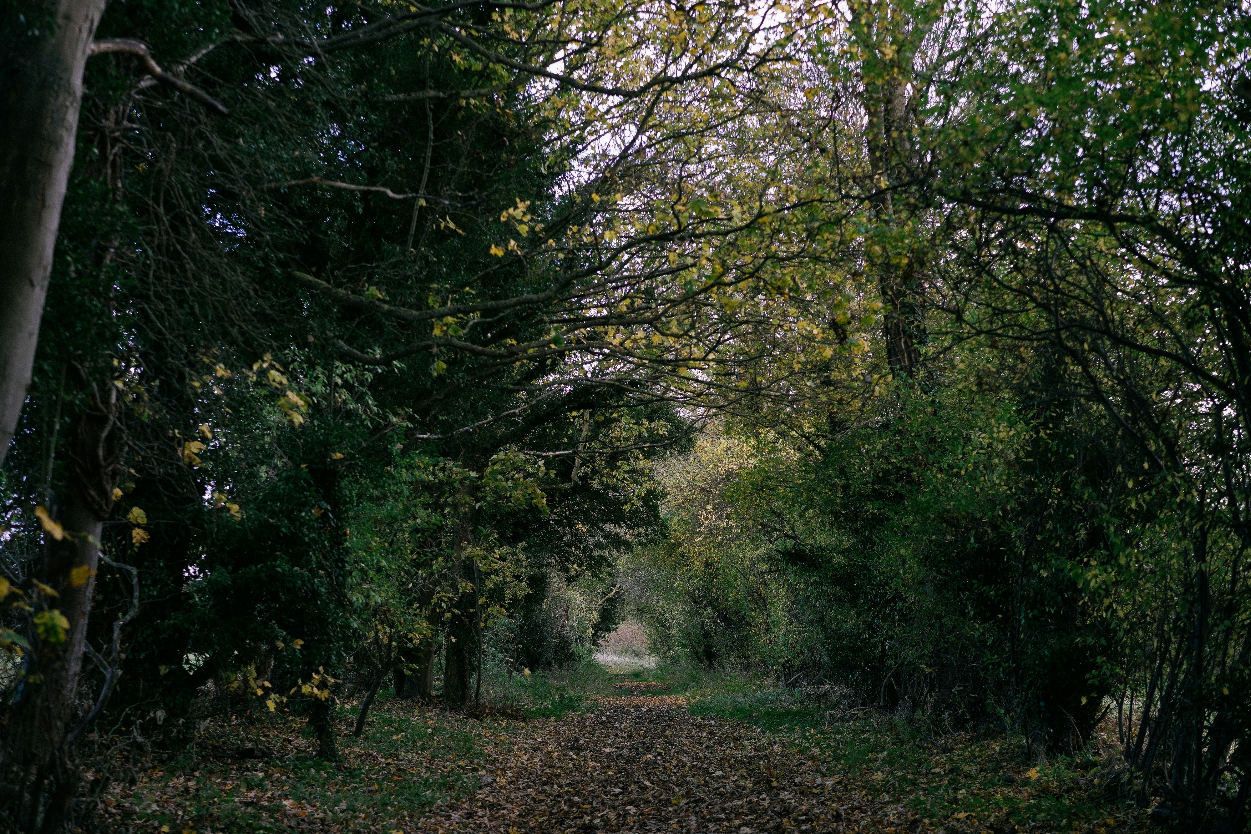 Photo by philhearing