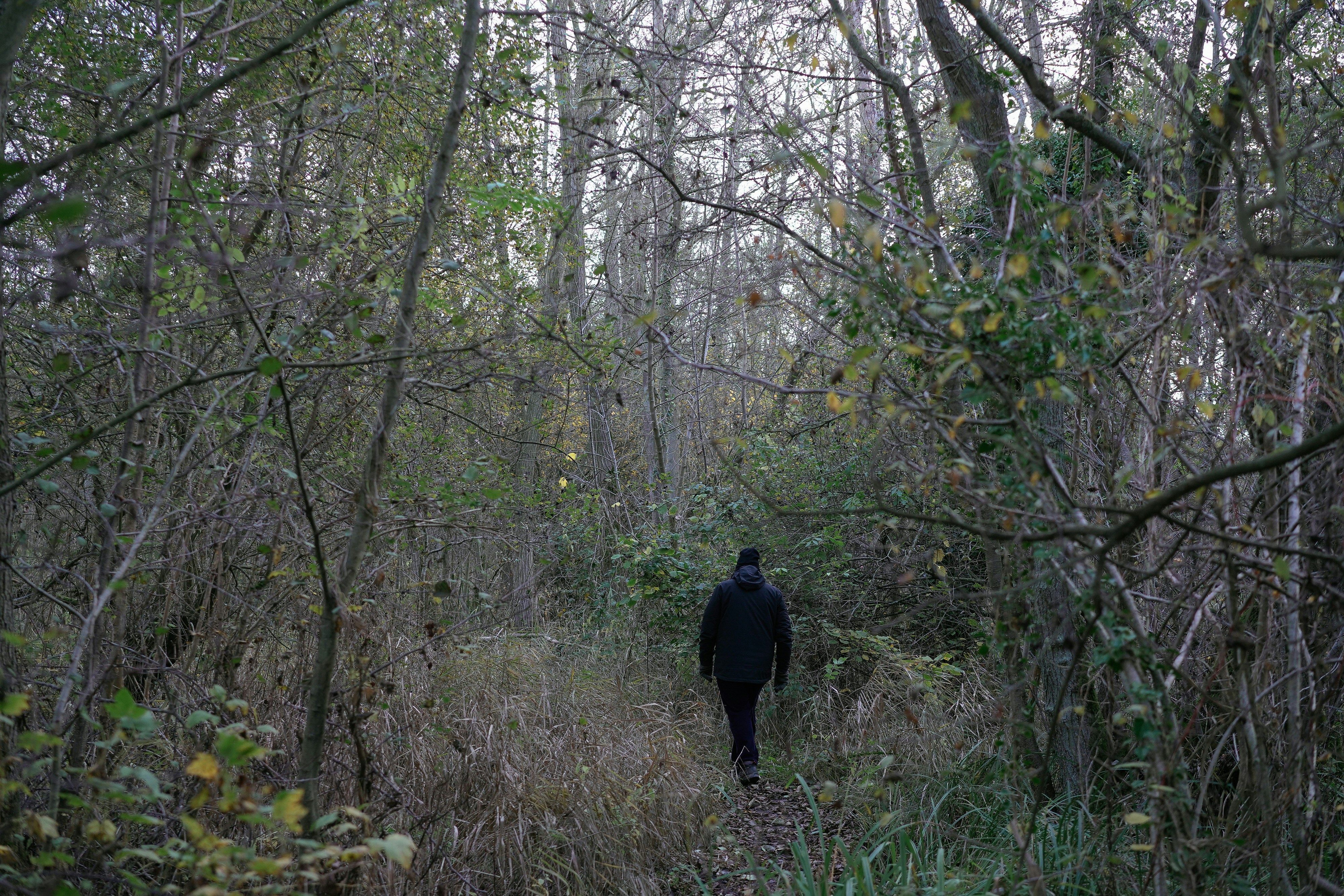 a man in a black jacket is walking through the woods