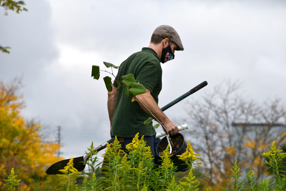 Gardener in a green shirt carrying long-handled garden tools