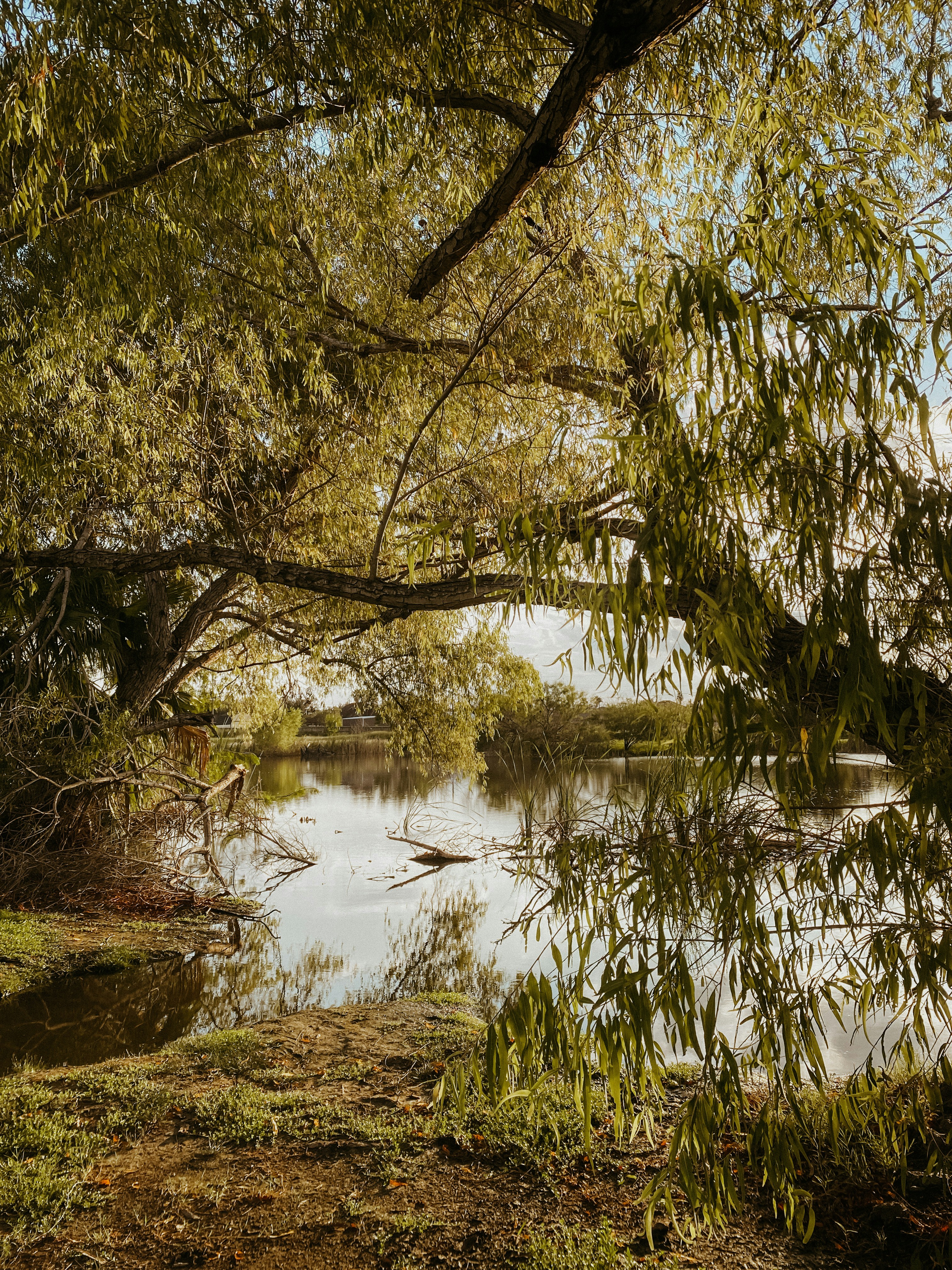 Photo by benignohoyuela