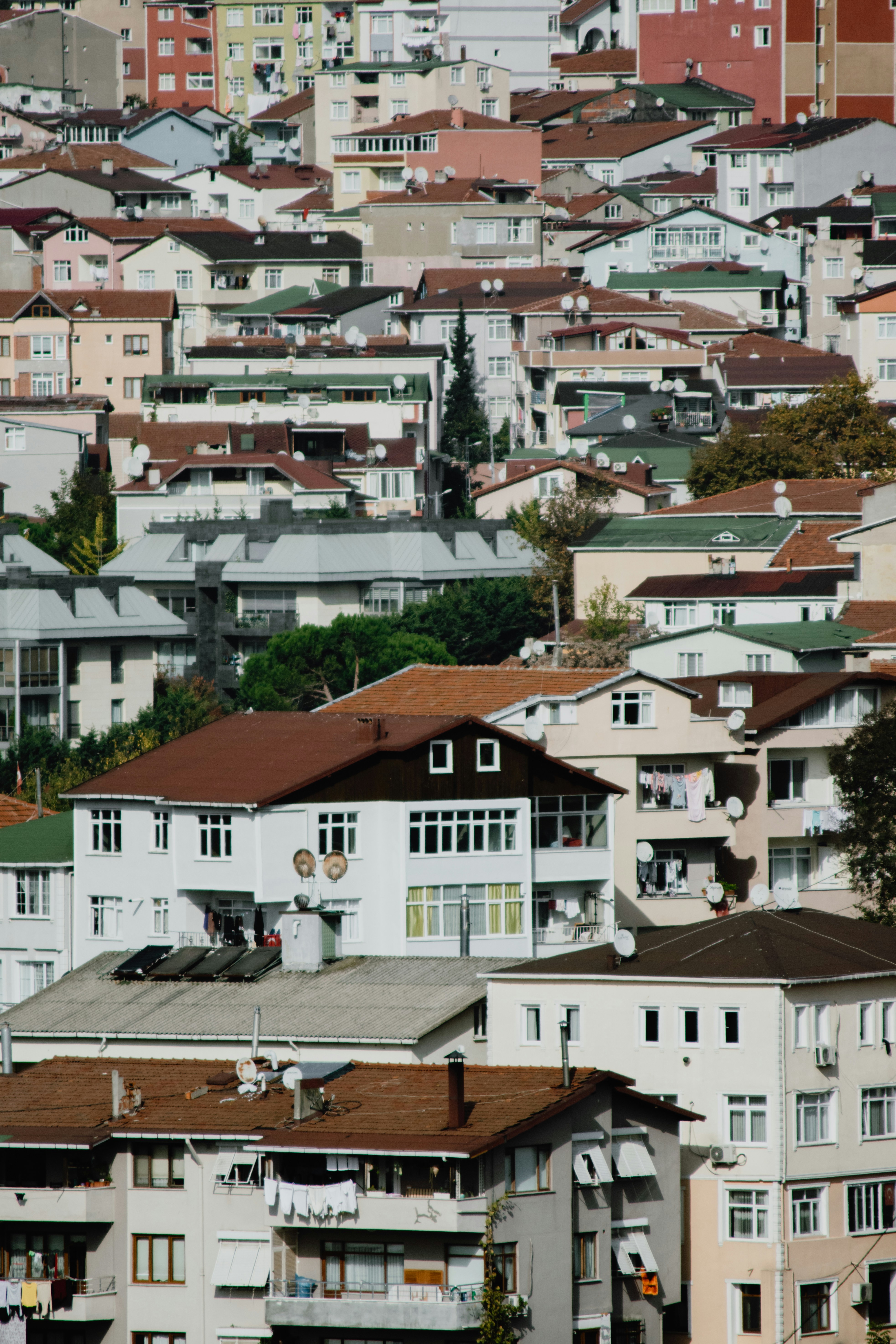 Photo by jamillatrach