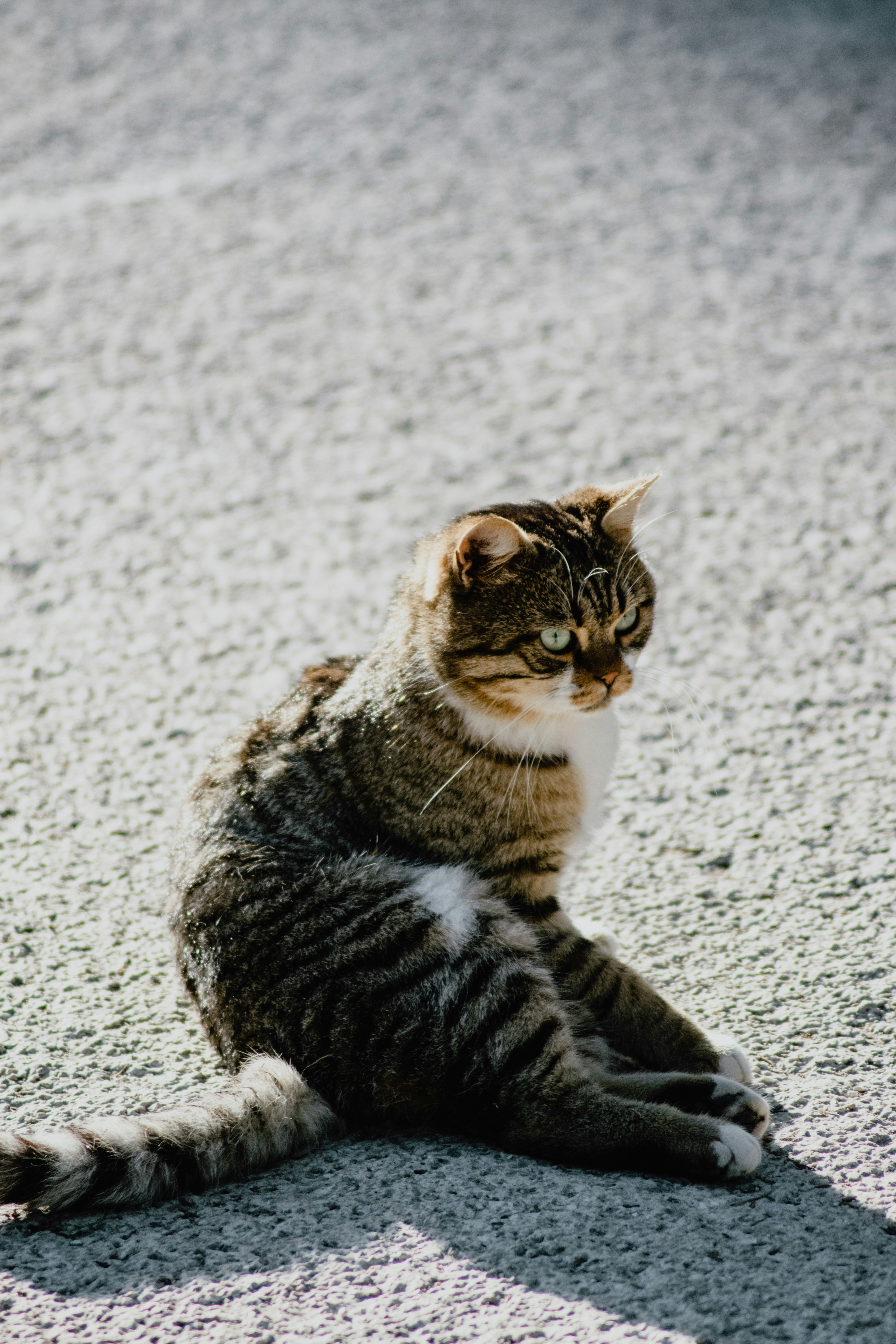 Photo by jamillatrach