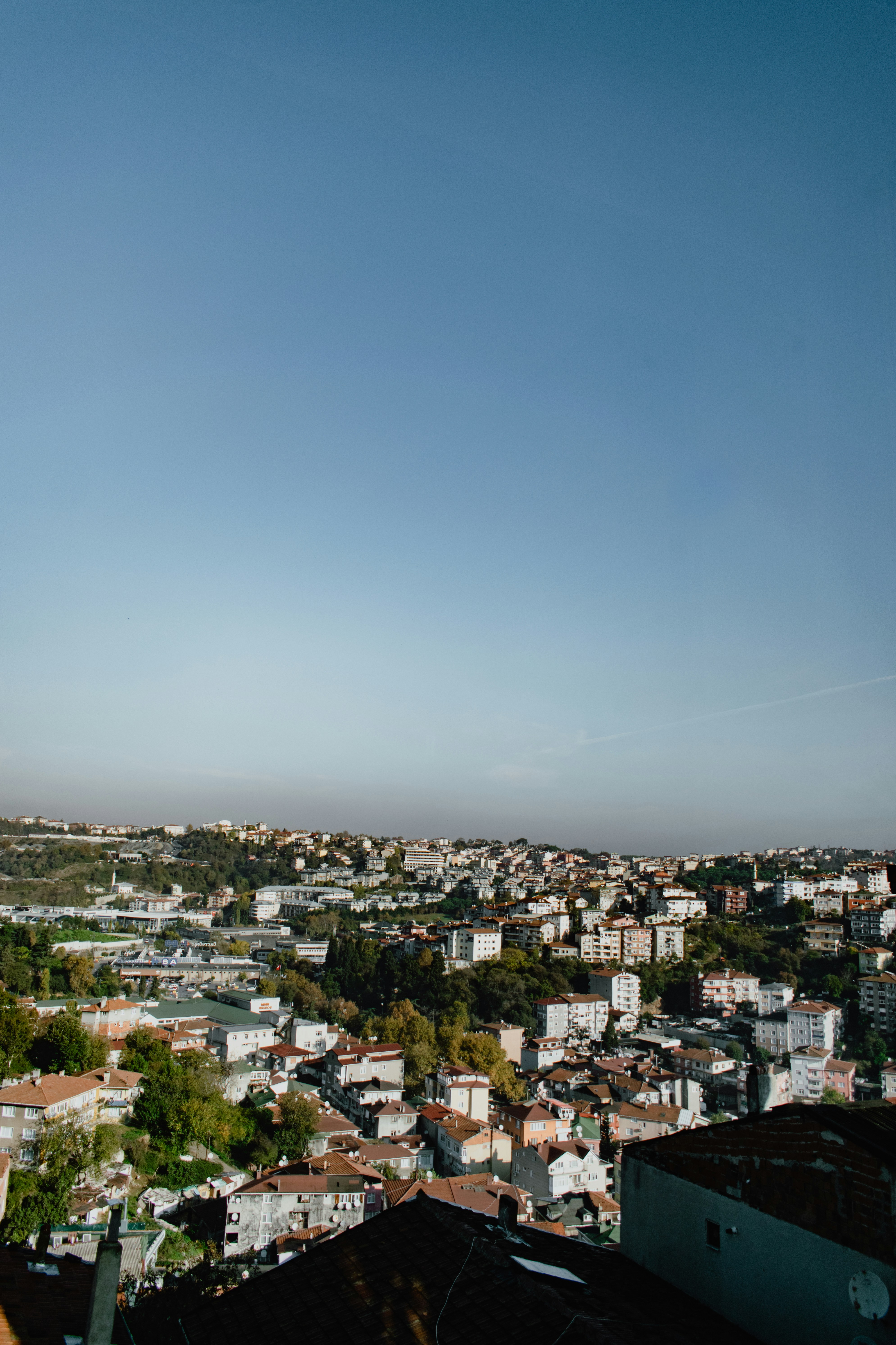 Containers in San Anselmo, CA