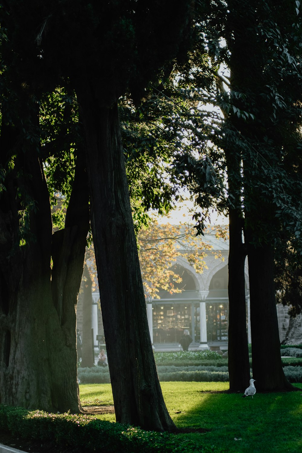 a park with trees and a building in the background