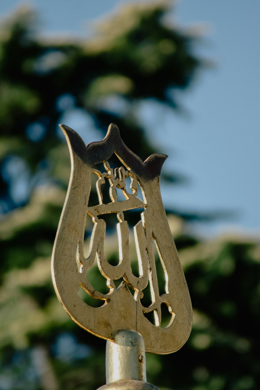 um close up de um objeto de metal com uma árvore no fundo