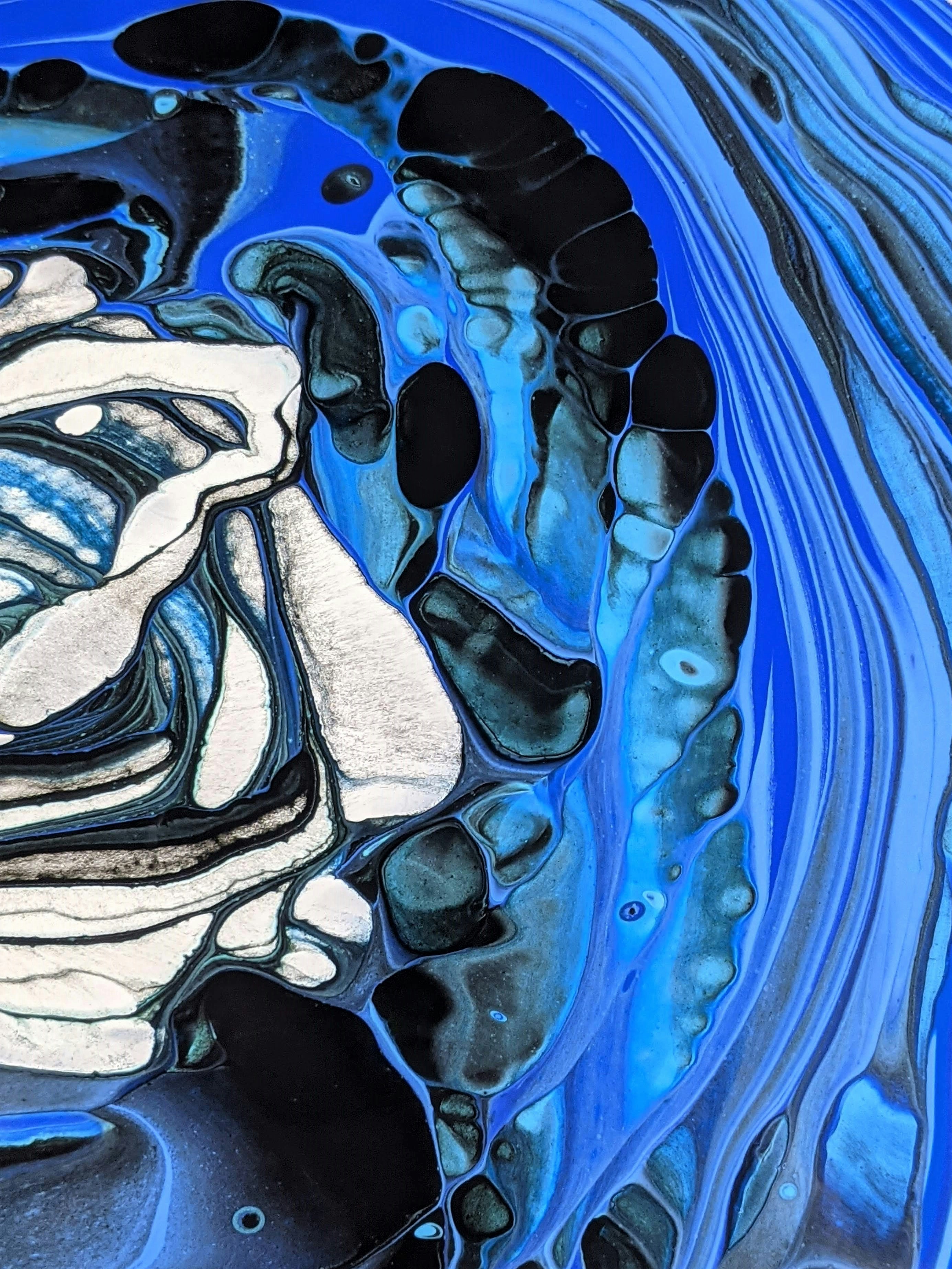 Photo by susan_wilkinson