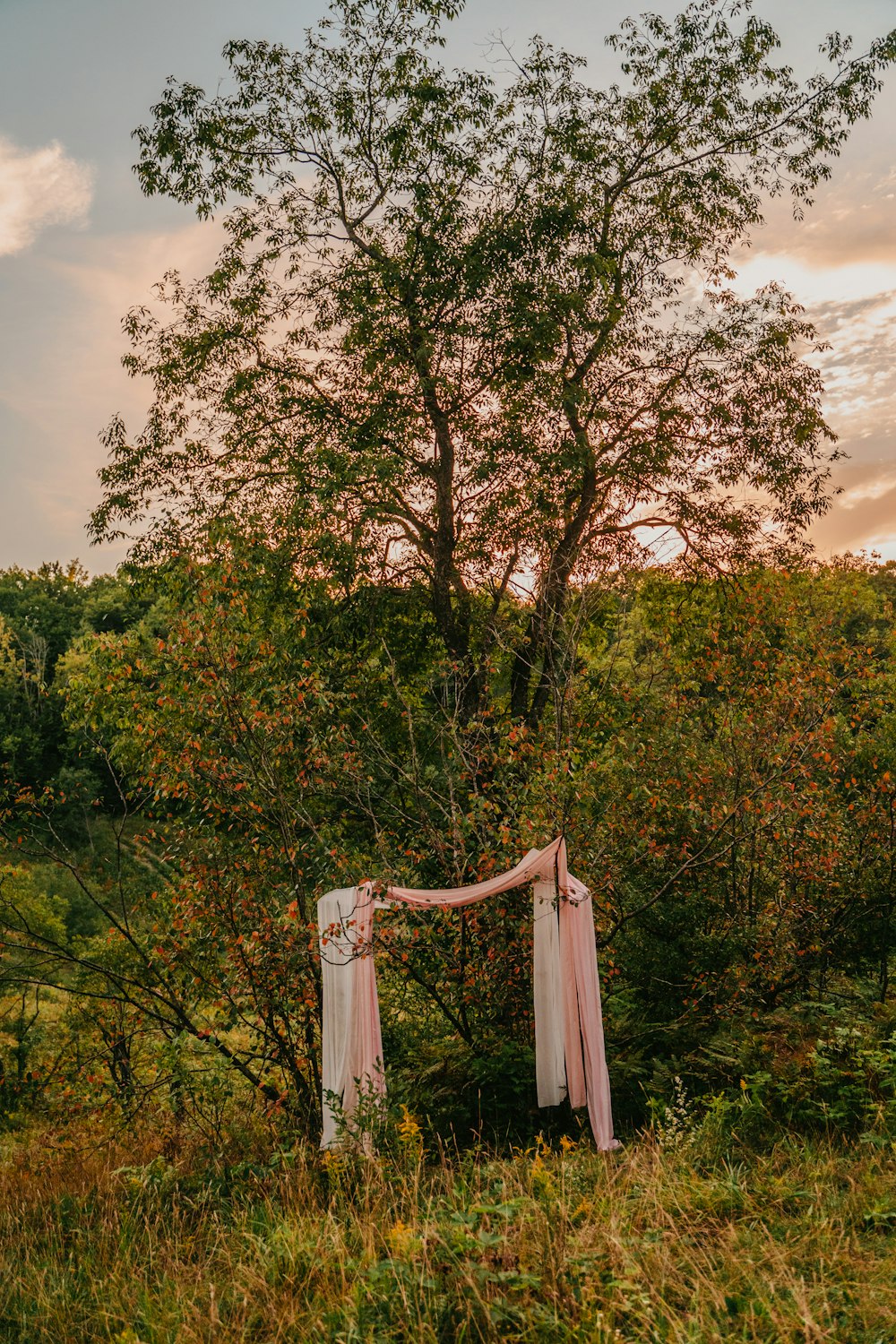 an old chair sitting in the middle of a field