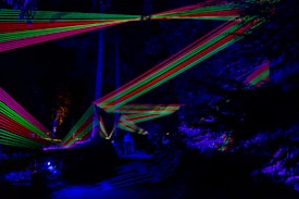 A nighttime forest scene illuminated by colorful laser lights creating intricate patterns across the trees. The lasers form vivid red and green lines that contrast sharply against the dark backdrop of the forest, casting a futuristic and surreal atmosphere.