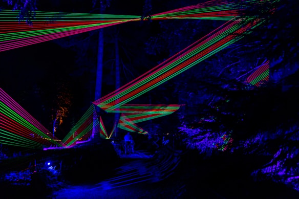 A nighttime forest scene illuminated by colorful laser lights creating intricate patterns across the trees. The lasers form vivid red and green lines that contrast sharply against the dark backdrop of the forest, casting a futuristic and surreal atmosphere.