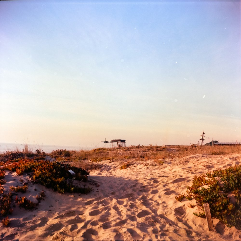 Una playa de arena con una pequeña cabaña en la distancia