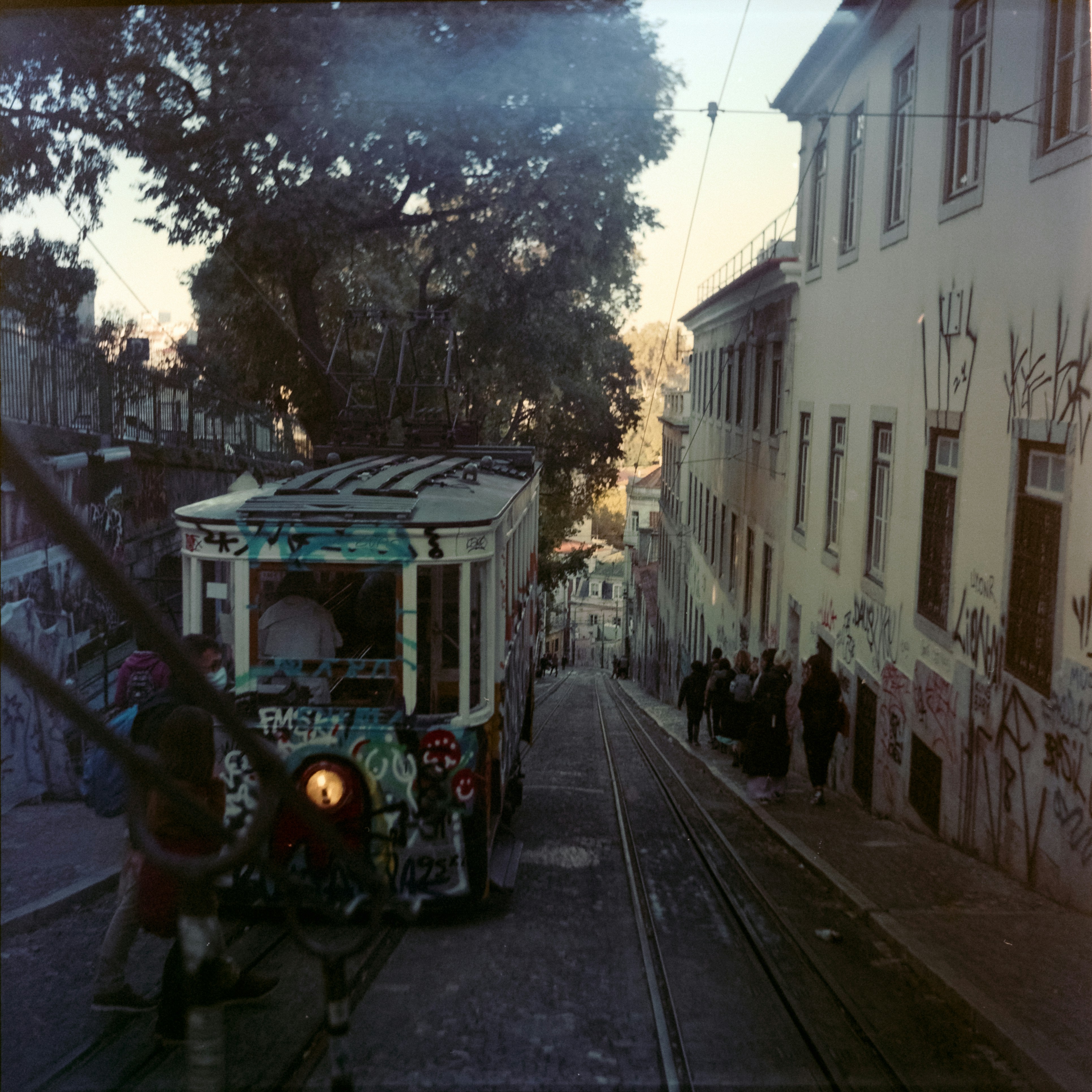 Photo by mpalmtree