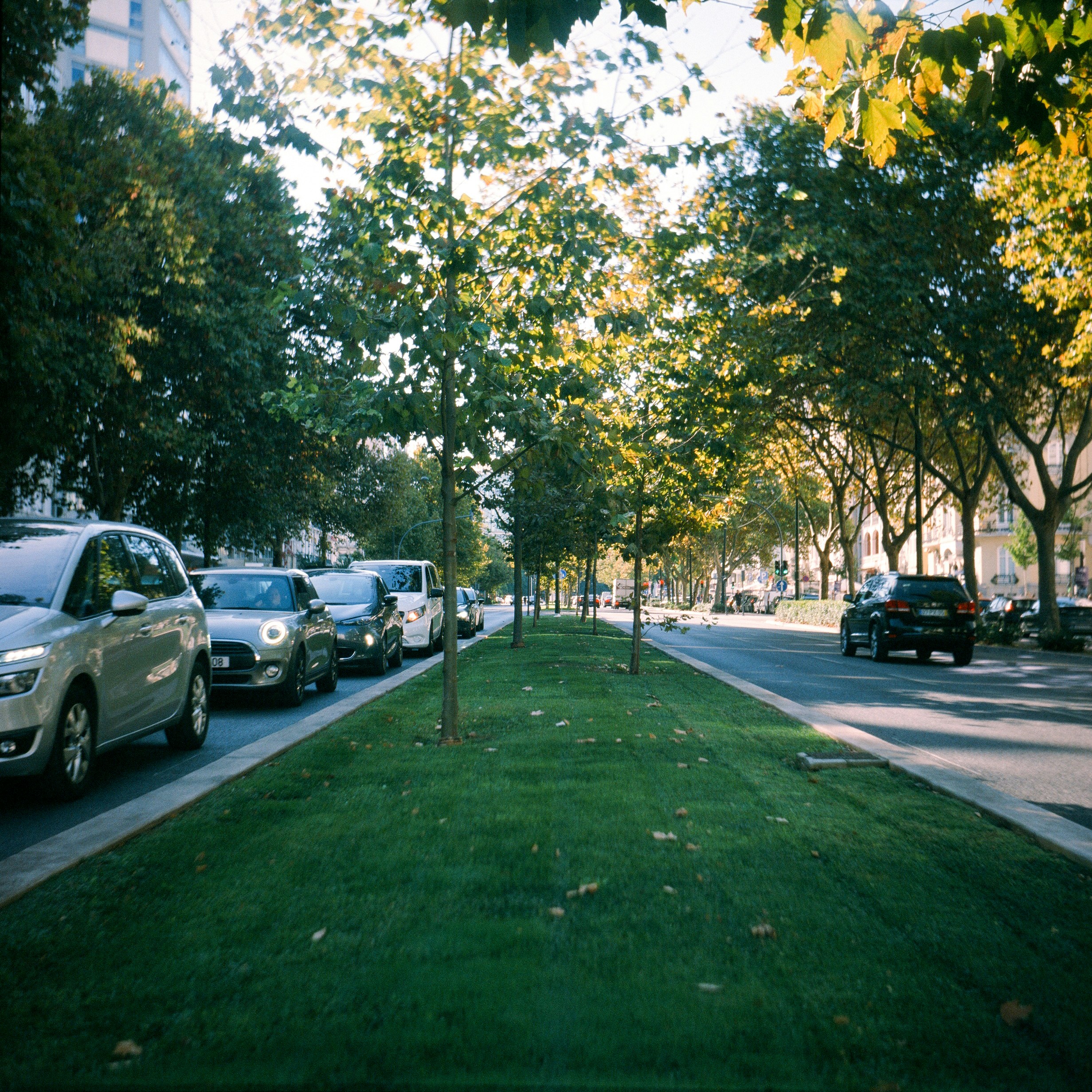 Photo by mpalmtree