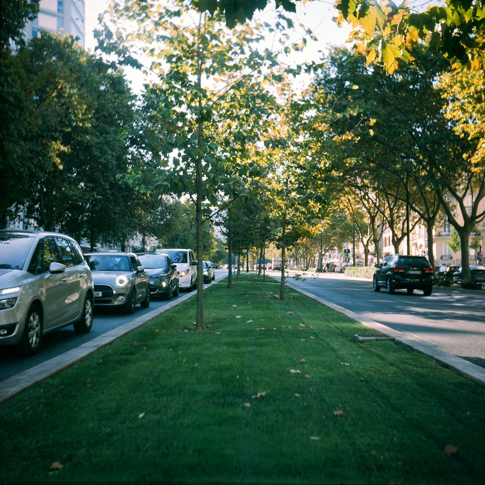 cars are parked on the side of the road