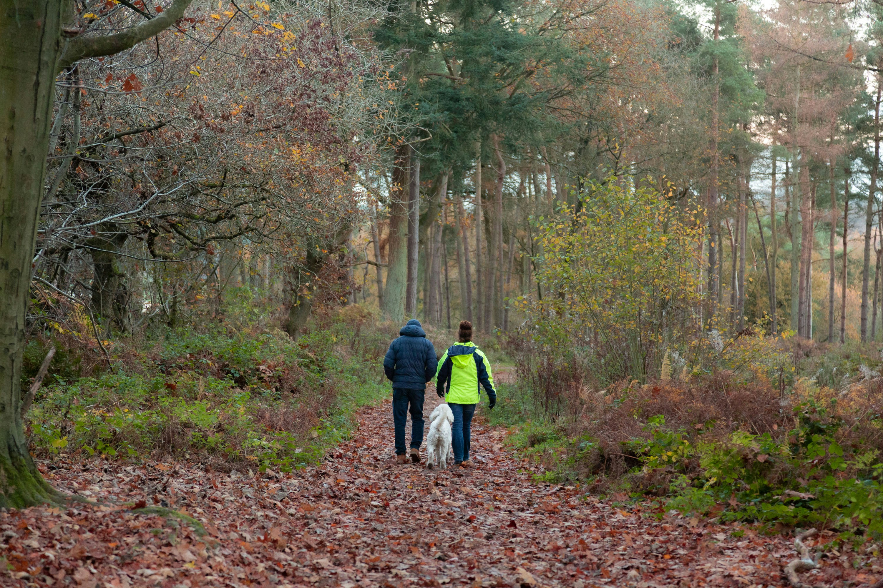 Photo by itscakefortea