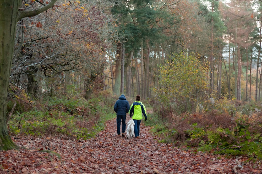 a couple of people walking down a leaf covered road