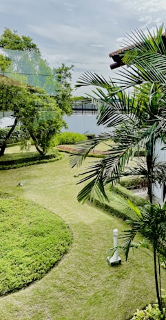 A landscaped garden featuring neatly trimmed grass, manicured hedges, and scattered small lights. Palm trees and various shrubs add a tropical feel, with a clear blue sky visible above.