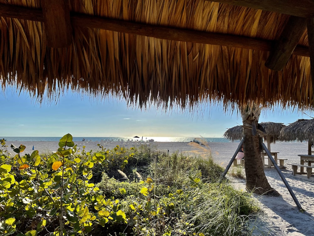 a view of the beach from under a thatched roof