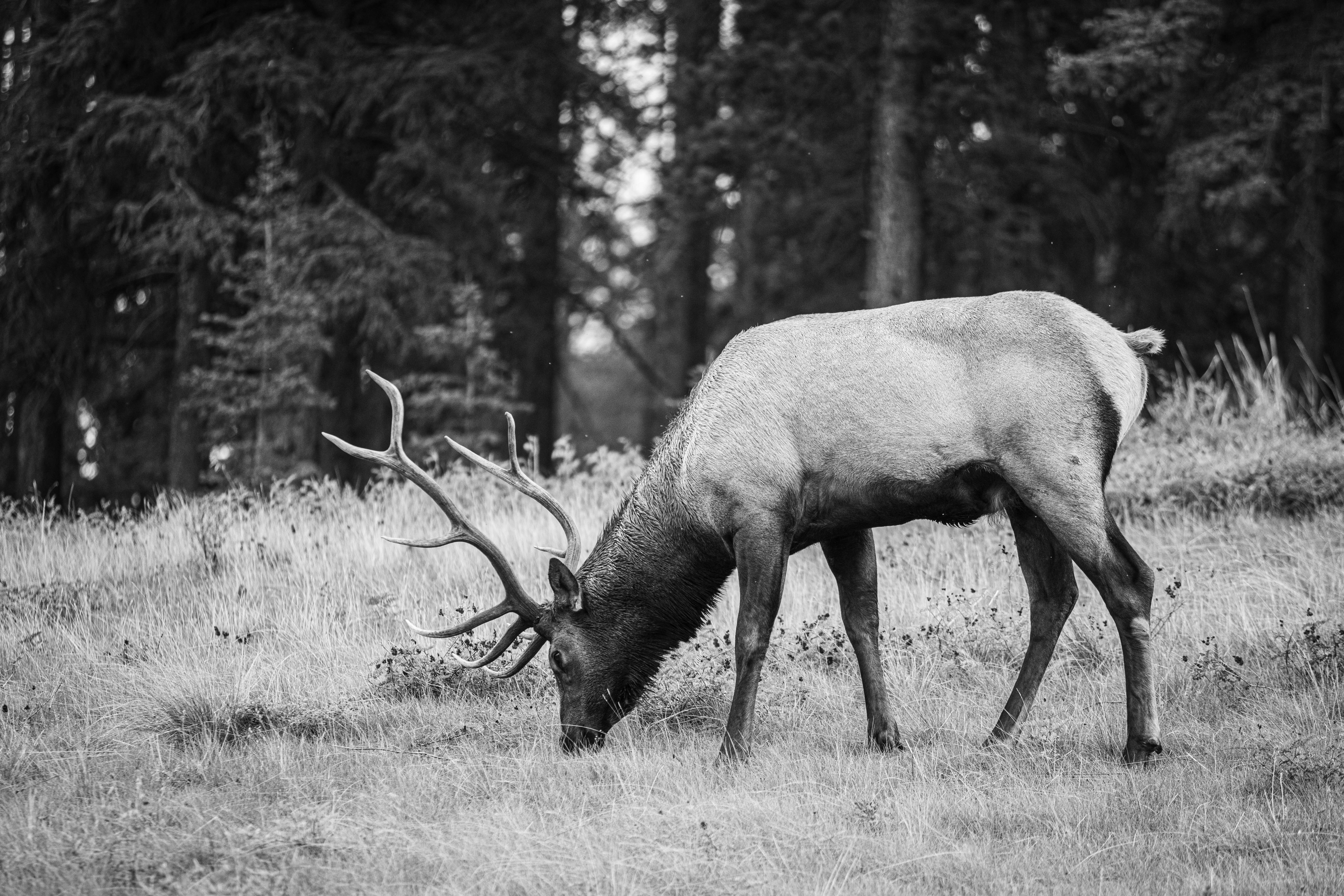 Photo by theshuttervision