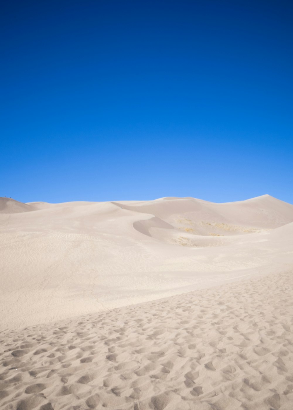 a sandy area with a blue sky in the background